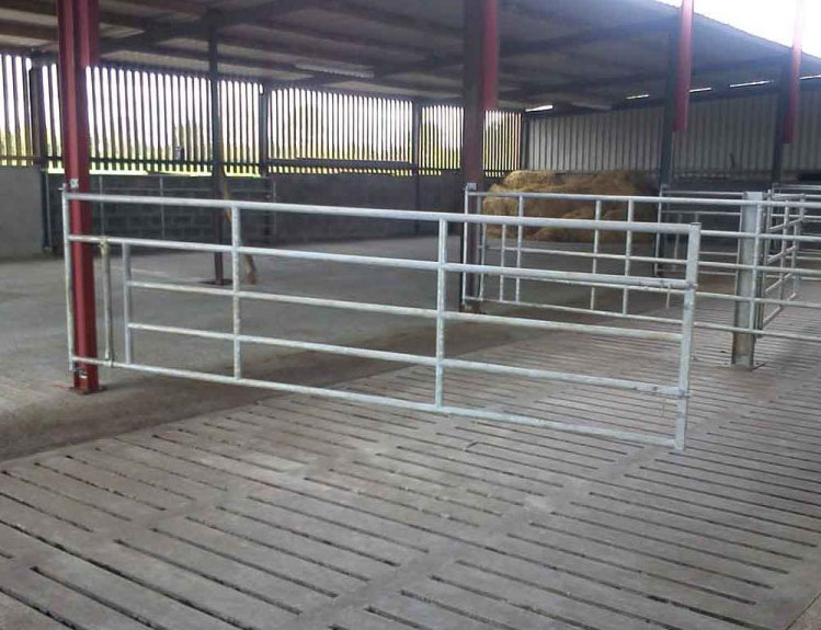 cattle shed